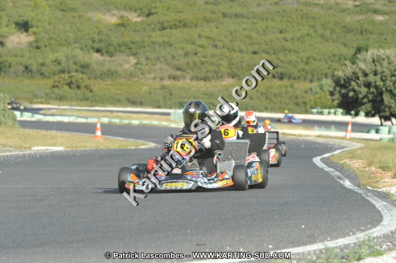 DSC (4120).JPG